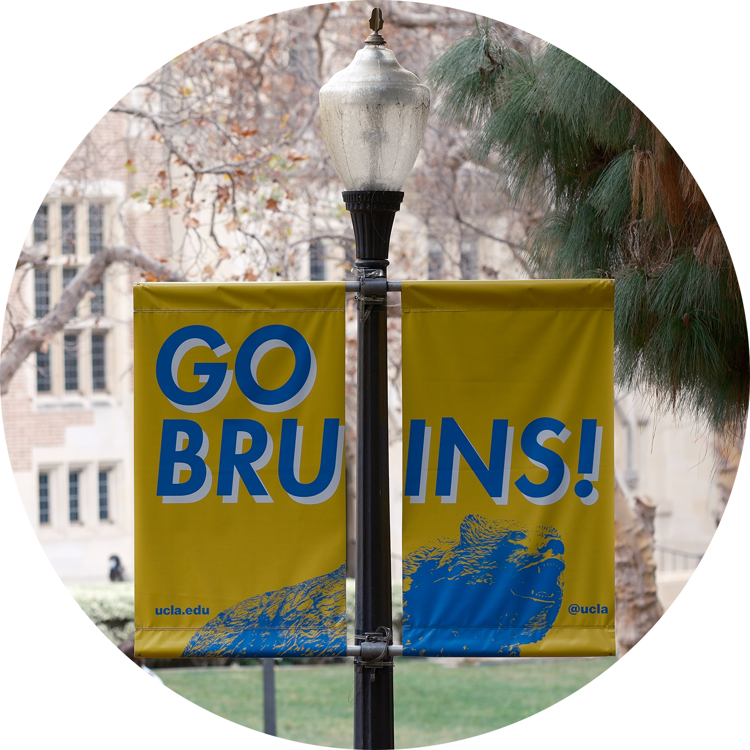 A “Go Bruins!” sign is prominently displayed from a lamppost and two students walk in the background. 